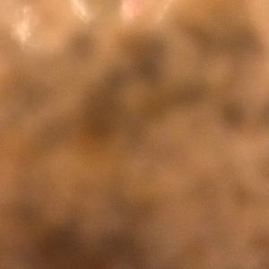 Meet your Posher, Carly